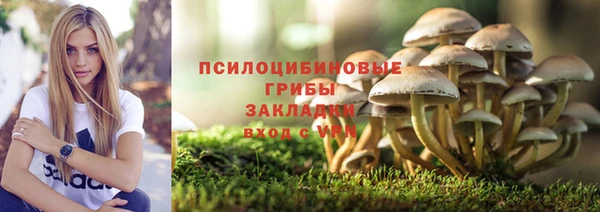 прущие крисы Пересвет