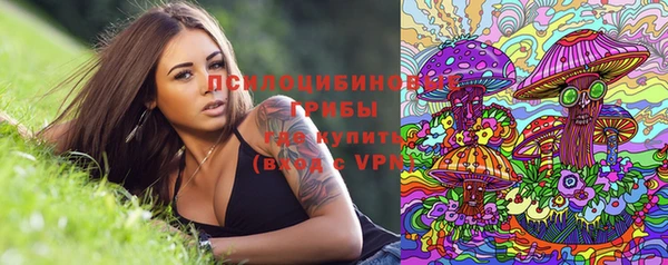 прущие крисы Пересвет
