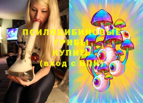прущие крисы Пересвет