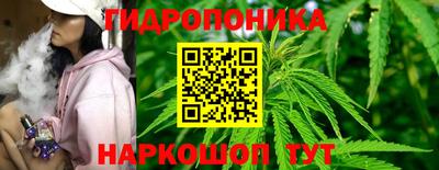 прущие грибы Кинель