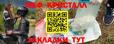прущие грибы Кинель
