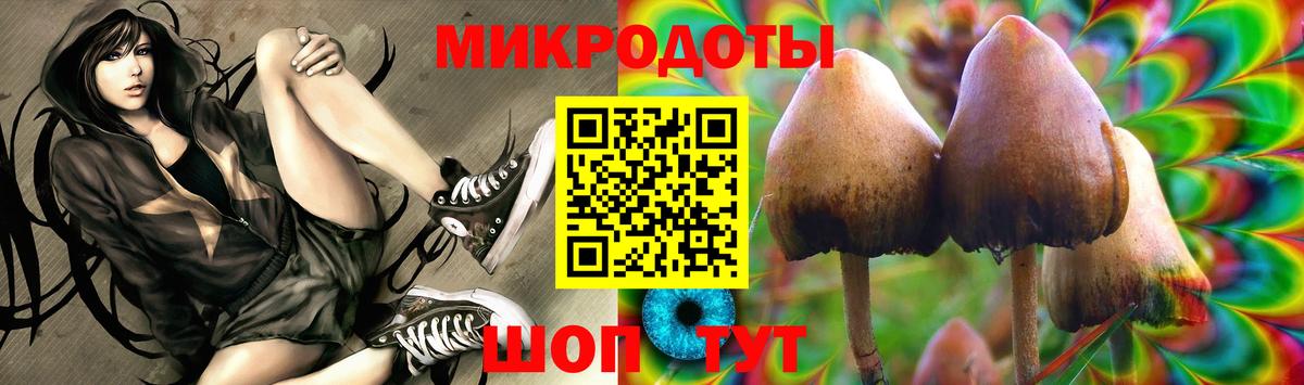Псилоцибиновые грибы ЛСД Сальск