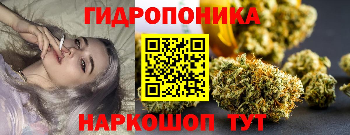 Конопля AK-47 Сальск